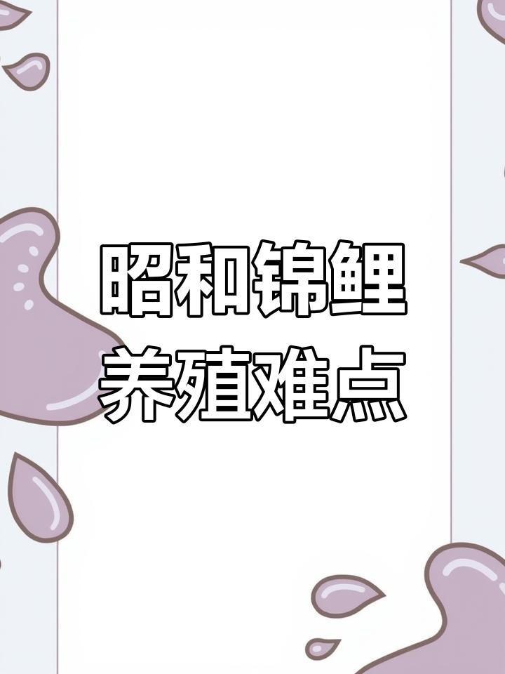 大正與昭和錦鯉哪個好養(yǎng)