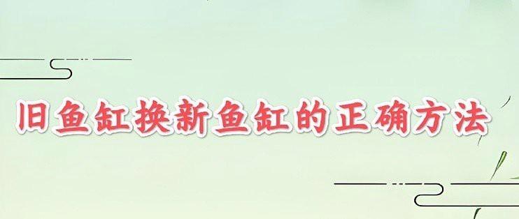 金龍魚(yú)換缸的最好辦法