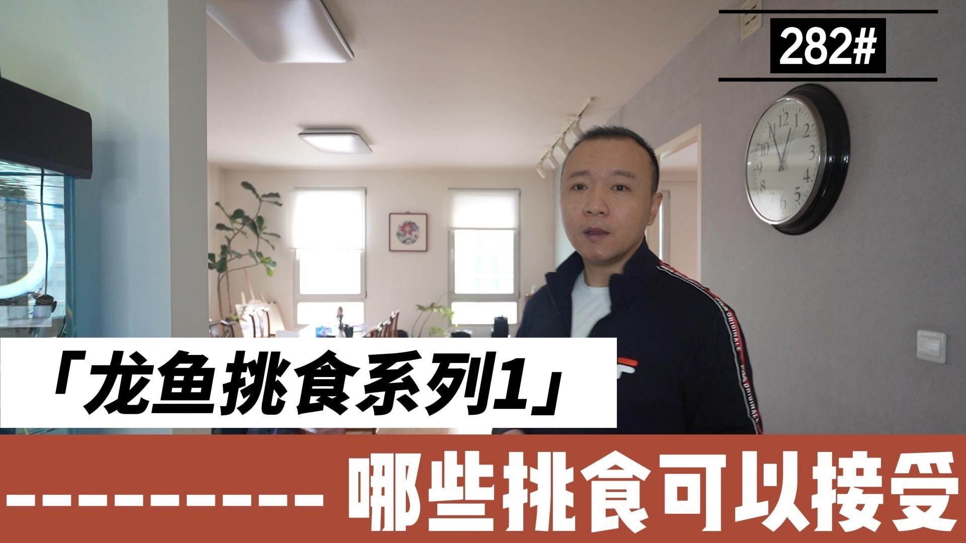 龍魚只吃飼料怎么辦啊