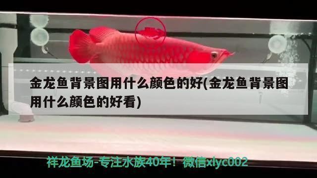 白山市渾江區聚滿緣超市（聚滿源私房菜怎么樣）