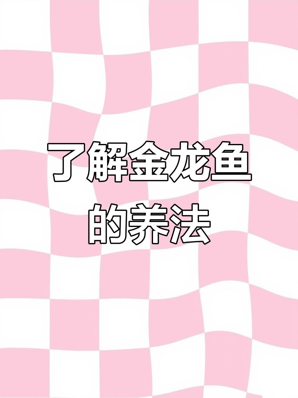 高背金龍魚能養出過背效果嗎？