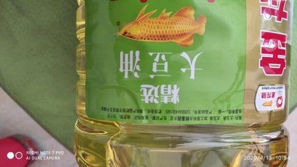 龍魚發色吃什么最好看(銀龍魚吃什么發色最好)