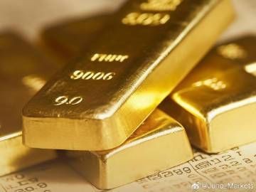過背金龍現在價格