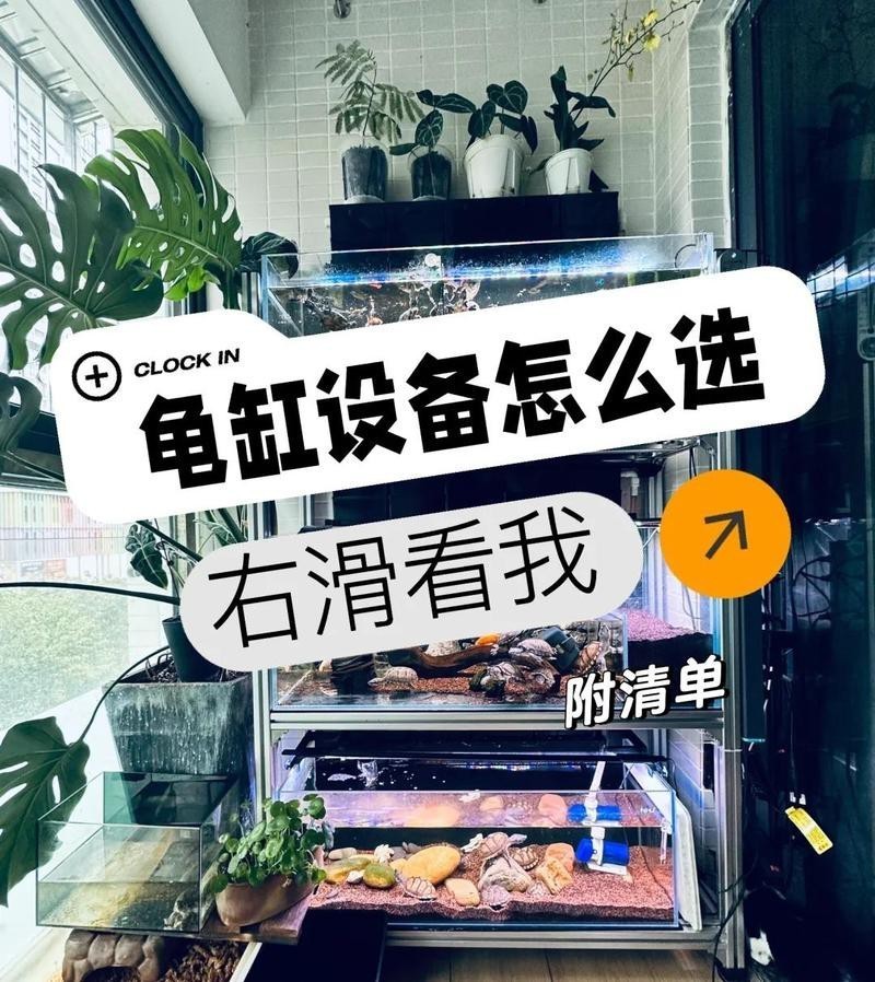 龍魚和龜混養(yǎng)需要哪些設(shè)備？