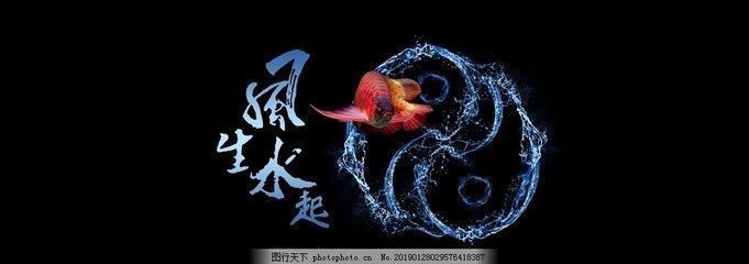 銀龍魚身上發黑怎么回事（銀龍魚身上發黑怎么回事,怎么治療）