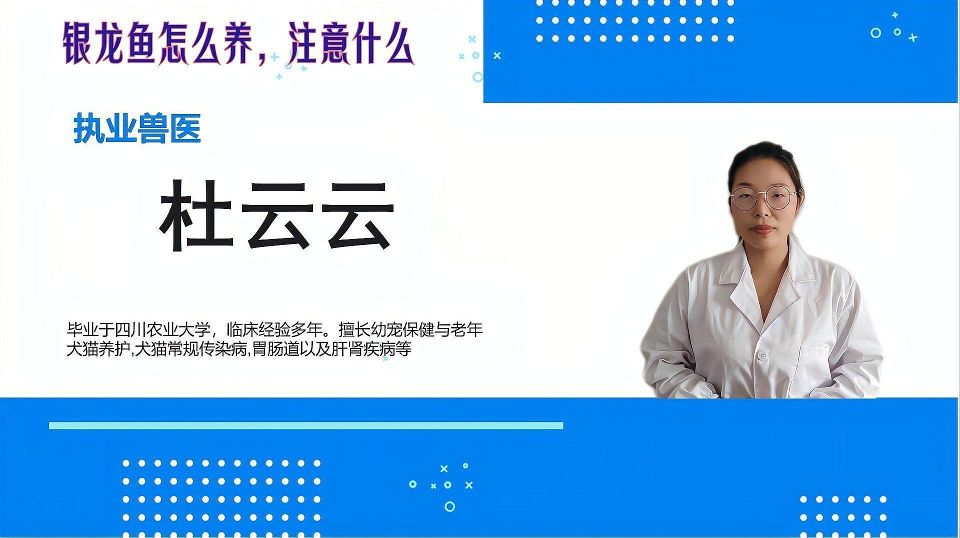 家里養(yǎng)銀龍魚要注意什么細節(jié)