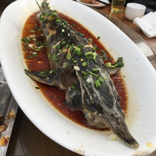 龍魚做法圖片欣賞視頻