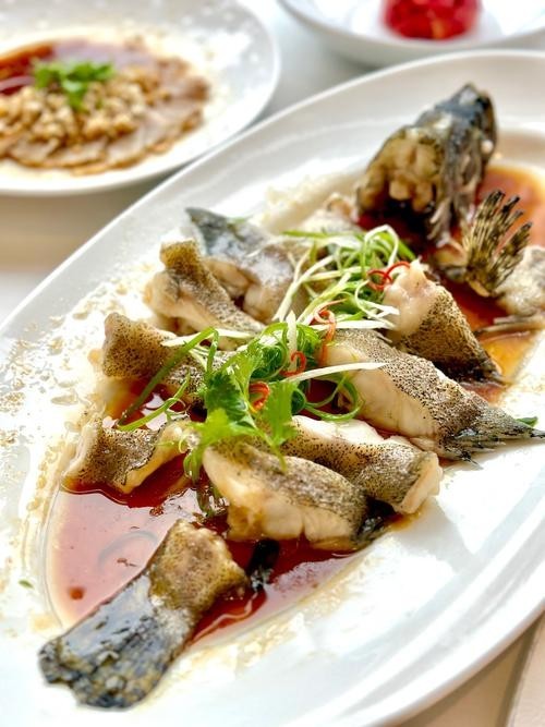 龍魚做法圖片欣賞視頻