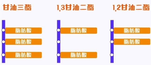 金龍魚甘油二酯油的具體功效是什么？