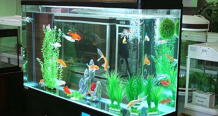 燈LED魚缸