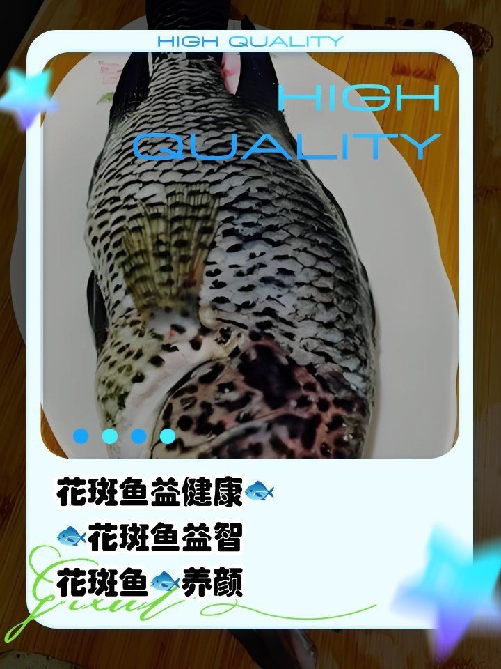 花斑魚又叫什么魚