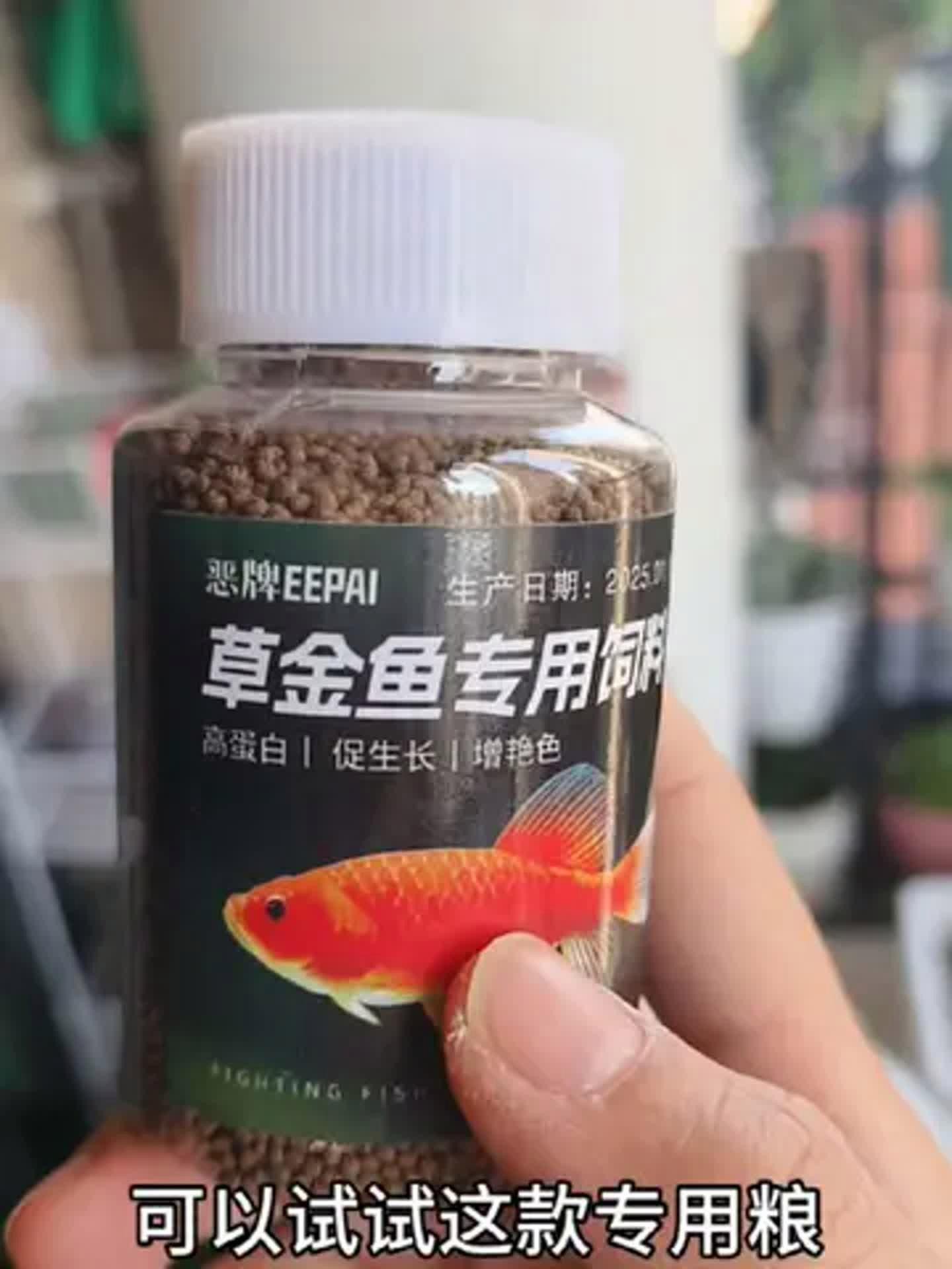 觀賞魚增色吃什么飼料