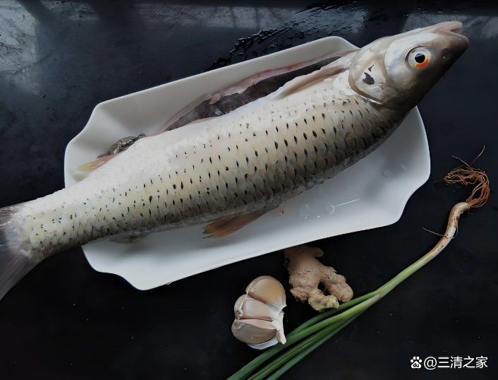 紅甘魚多少錢一斤