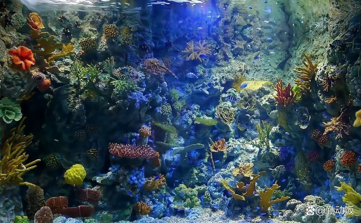 全國海洋館排名一覽表