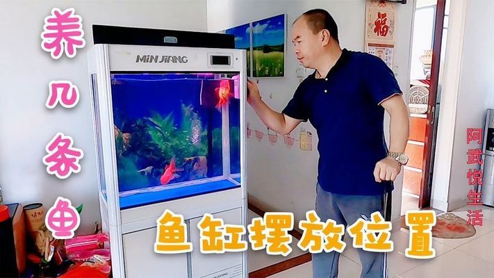 銀龍魚身上有氣泡怎么治