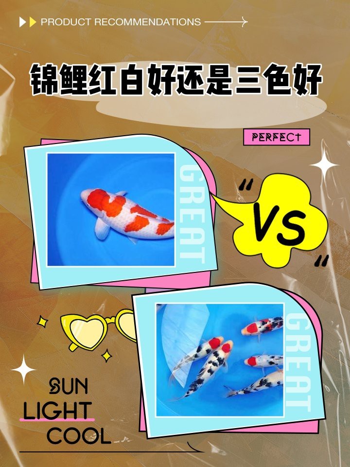 大正三色與紅白的區(qū)別