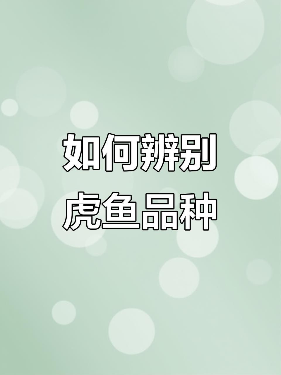 虎魚(yú)品種好壞怎么區(qū)分
