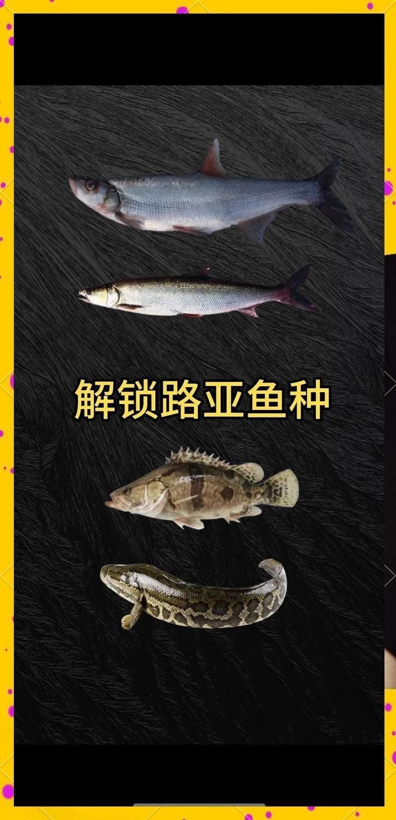 和尚關刀魚是上層還是下層