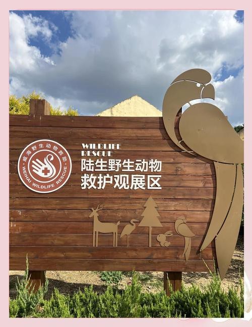如何聯(lián)系這些野生動物救護中心？