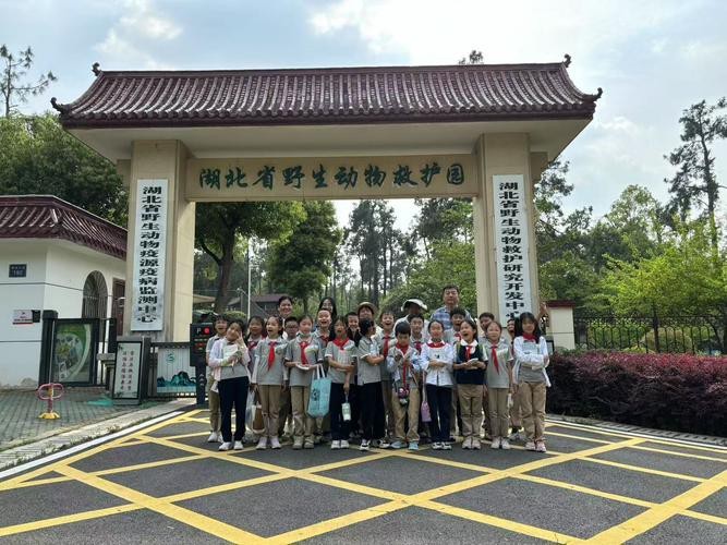 如何聯(lián)系這些野生動物救護中心？