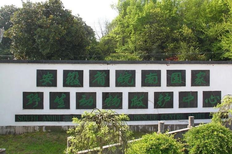 如何聯(lián)系這些野生動物救護中心？