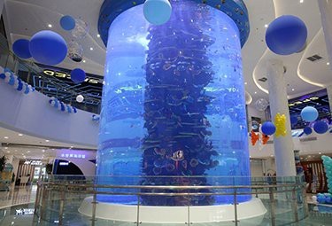 水族館企業名錄查詢系統官網最新版