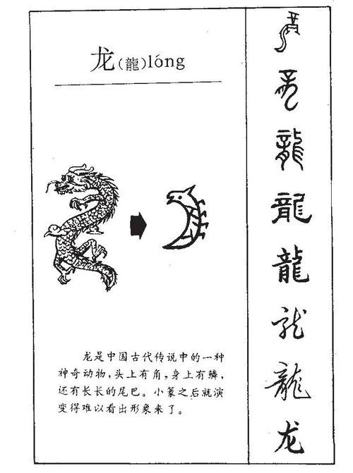 龍的圖片