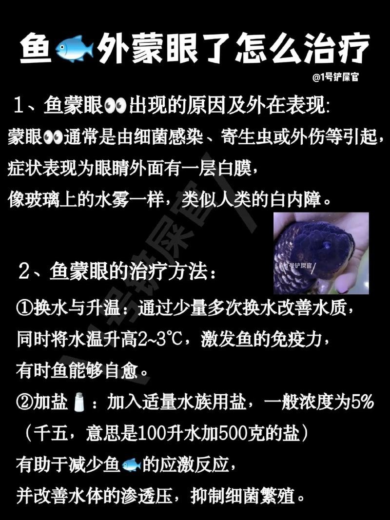 銀龍魚眼睛上長白膜怎么辦圖片大全