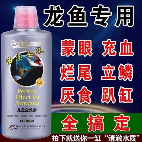 銀龍魚眼睛上長白膜怎么辦圖片大全