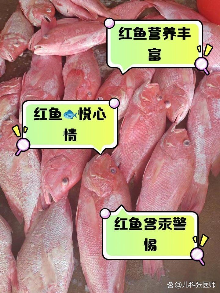紅魚為什么沒人吃