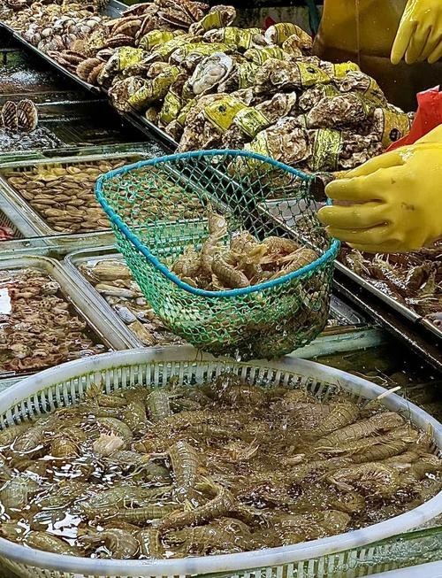 青島龍魚在哪賣的最好吃