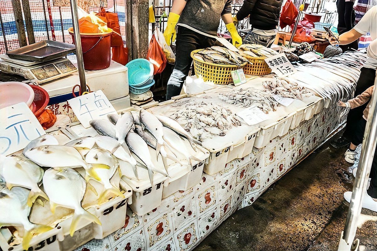 青島龍魚在哪賣的最好吃