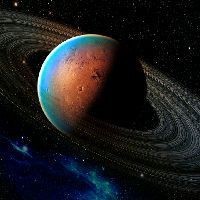 狗魚價格一斤多少錢