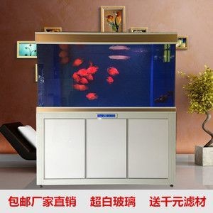 銀龍魚跟招財混養(yǎng)好不好（銀龍魚跟招財混養(yǎng)好不好呢）