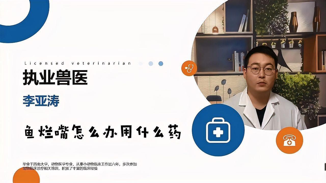 觀賞魚爛嘴用什么藥治療
