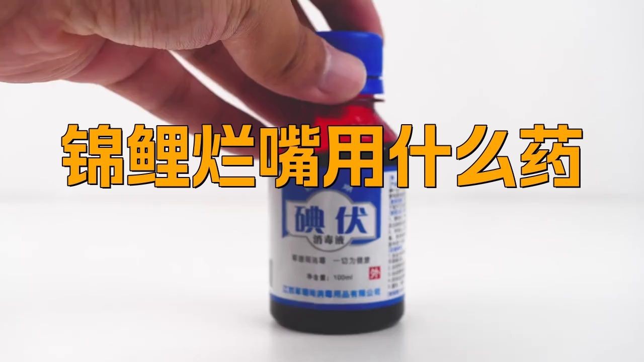 觀賞魚爛嘴用什么藥治療