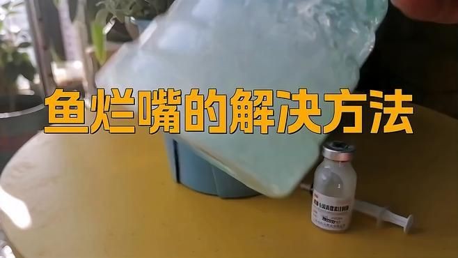 觀賞魚爛嘴用什么藥治療