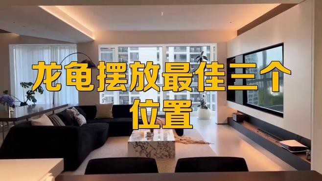 龍龜擺放在哪個(gè)位置最好？