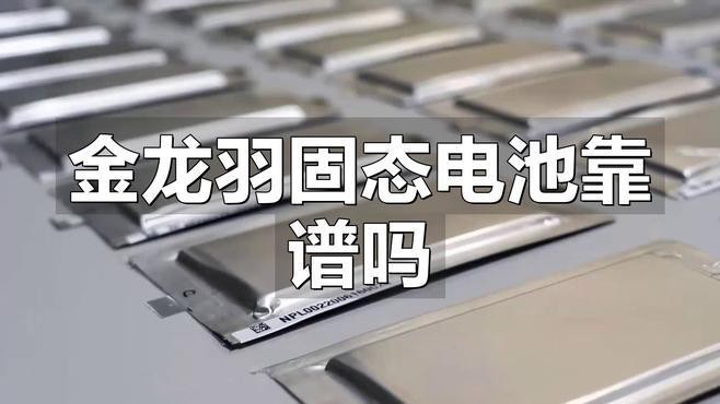 金龍羽股價波動對投資者有何影響？