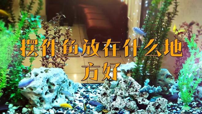 龍頭魚身擺件適合放在哪些位置？