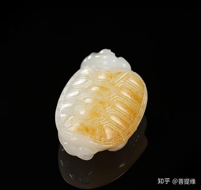 龍龜會反噬主人嗎