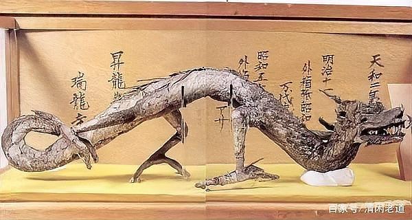 請提供更多關于墮龍的古籍記載