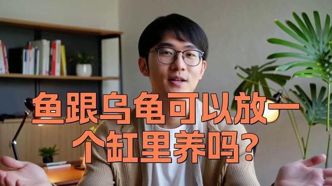 龍魚和烏龜混養有哪些注意事項？