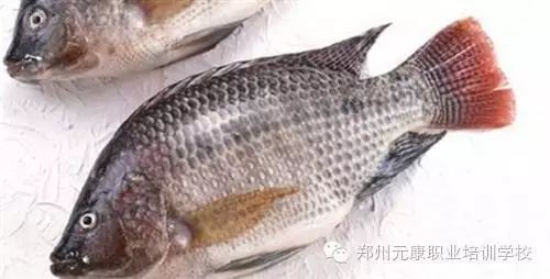福壽魚有營養嗎