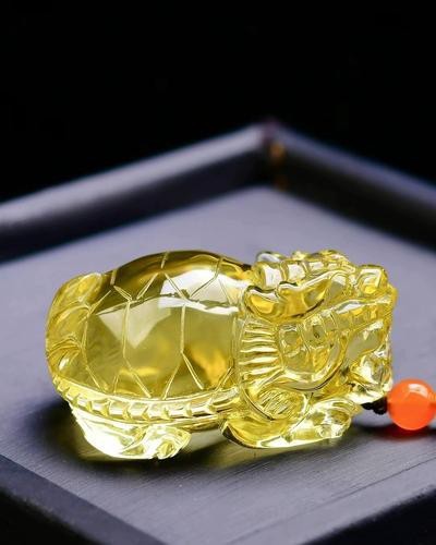 哪種材質的龍龜效果最好？