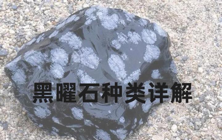 哪種材質的龍龜效果最好？