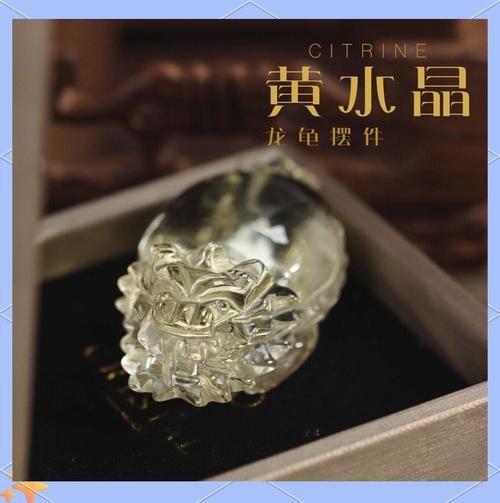 哪種材質的龍龜效果最好？