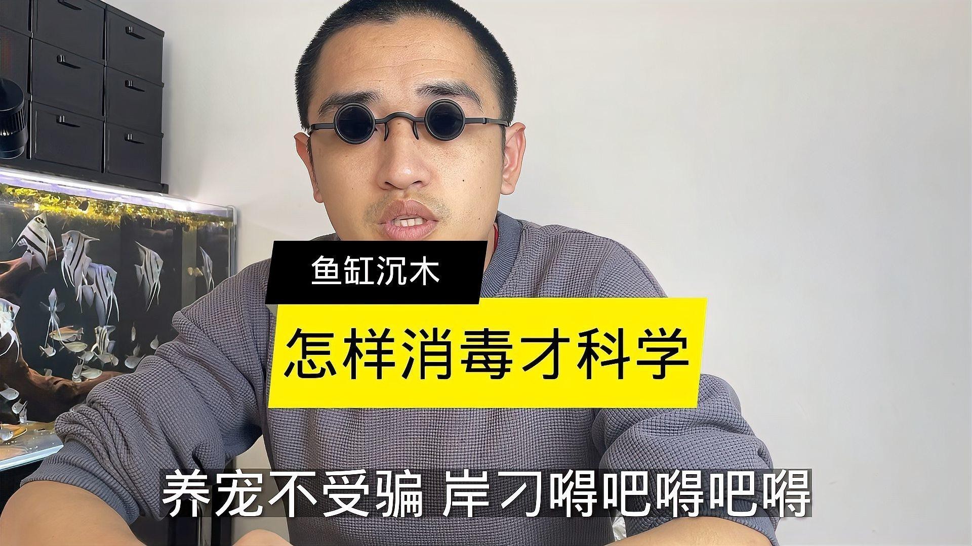 龍魚缸沉木需要消毒嗎？