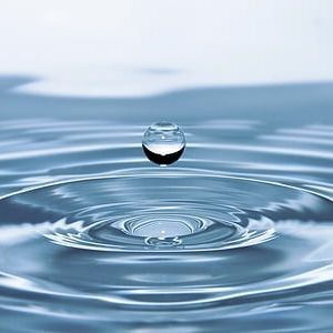 蝴蝶在易經(jīng)中象征是什么