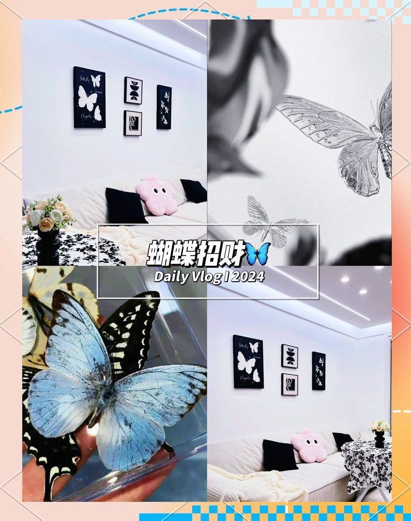 蝴蝶在易經(jīng)中象征是什么